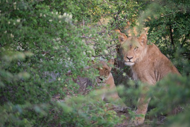 121230_SAfrica_06312