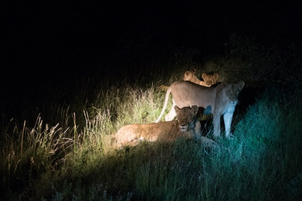 121230_SAfrica_07713