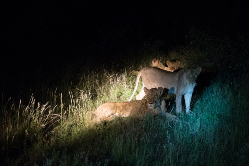 121230_SAfrica_07713