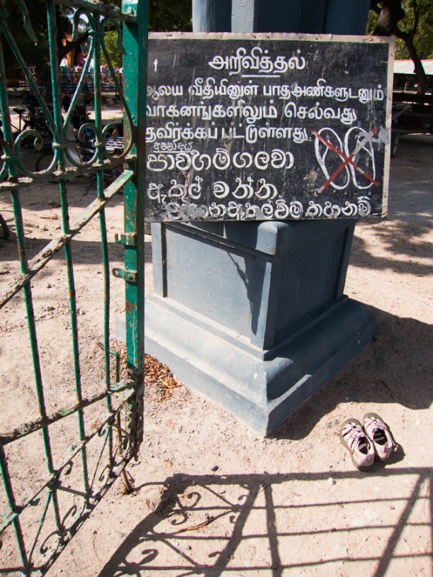 130124_Sri Lanka_17773