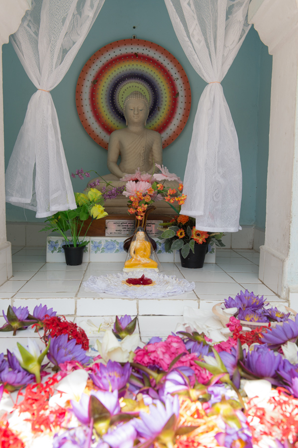 130124_SriLanka_16198