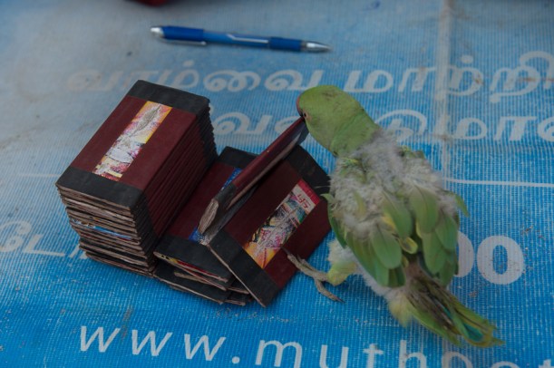 130202_India_SriLanka_20803